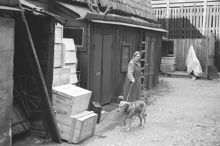 Rehnsgatan 20. Gårdsinteriör