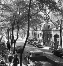 Vårbild från Barnhusgatan