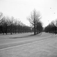 Lejonslätten, Djurgården. Allé mellan Djurgårdsbron och Skansen