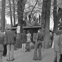 Kungsträdgården, maj 1971. Demonstrationer mot fällningen av almarna