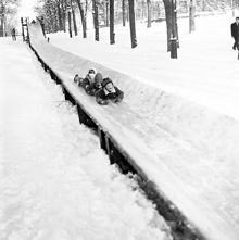 Barn åker snökana i Humlegården.