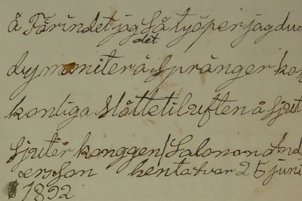 Se Salomon Anderssons brev till överståthållaren