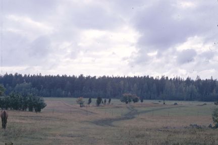 Stensamling, fornlämning RAÄ 82 i Spånga socken, Akalla