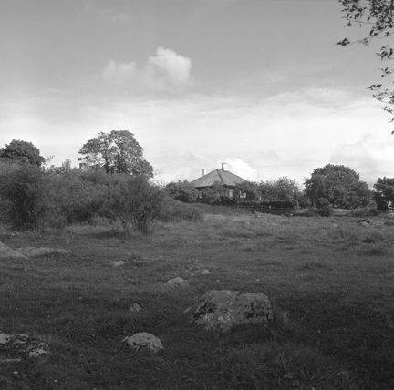 Fält framför hustak