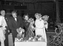 Stallmästaregården, Cirkus Zoo.
