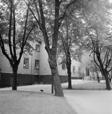 Kvarteret Klockstället inifrån från kyrkogården vid Klara kyrka
