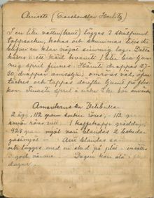 Anisette och Amerikanska vetebullar