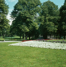 Humlegården norrut från Linnéstatyn