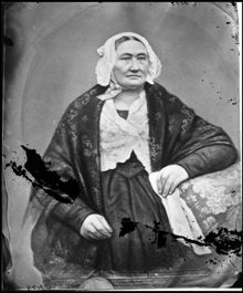 Damporträtt