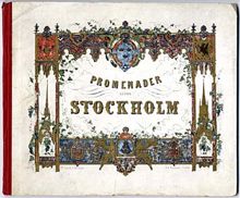 Promenader genom Stockholm : tio vuer i stålstick med upplysande text