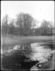 Reimersholme