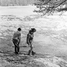 Ungdomar vid sjö med våris