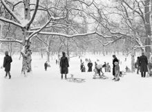 Kälkåkning i Vasaparken