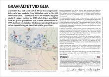GRAVFÄLTET VID GLIA