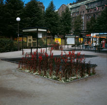 Kungsträdgården. Planteringar med lobelior, små dammar, montrar och en uteservering i parkens norra del. Vy mot Nordiska Kompaniet