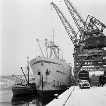 Frihamnen. Fartyget "Caroline Smith" tillbaka efter sin jungfruresa på "The Swedish Chicago Line"