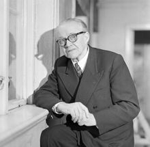 Texas Ljungberg