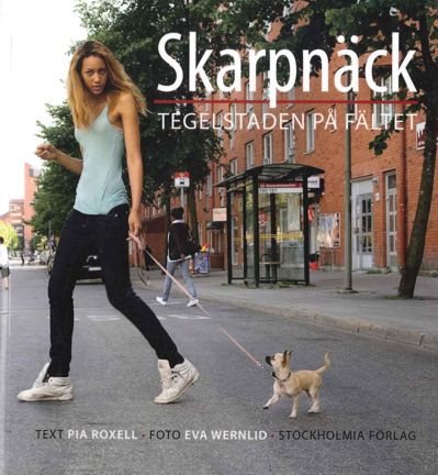 Omslag Skarpnäck : tegelstaden på fältet