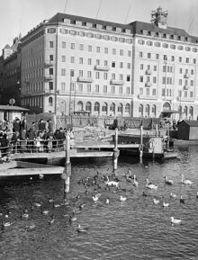 Strömkajen. Sjöfåglar på Norrström i förgrunden, Grand Hotel i bakgrunden