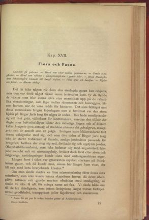 Illustration ur bokens kapitel "Flora och fauna".