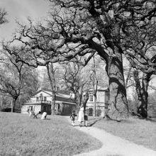 Bergsjölund, Djurgården