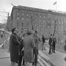 Kungsträdgården, maj 1971. Demonstrationer mot fällningen av almarna