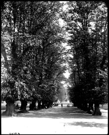 Humlegården