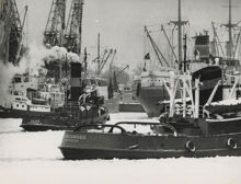 Frihamnen: Vinter i Frihamnen