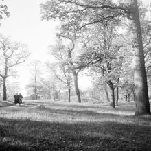 Frisens Park, Djurgården