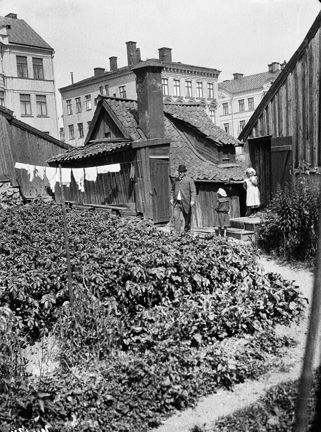 Odlingar och litet skjul mitt bland högre stadsbebyggelse