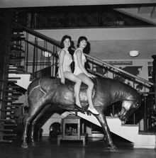 Lidingövägen 1, Gymnastik- och idrottsmuseum på Gymnastiska Centralinstitutet. GCI-flickorna fr. v. Barbro Carlson och Gunnel Berg premiärbesöker museet och poserar för SvD:s fotograf på en ""häst""