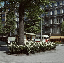 Plantering vid korsningen Karlavägen - Sibyllegatan