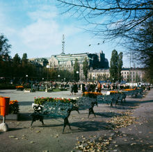 Kungsträdgården med skridskobana. Vy norrut mot kv. Hästen