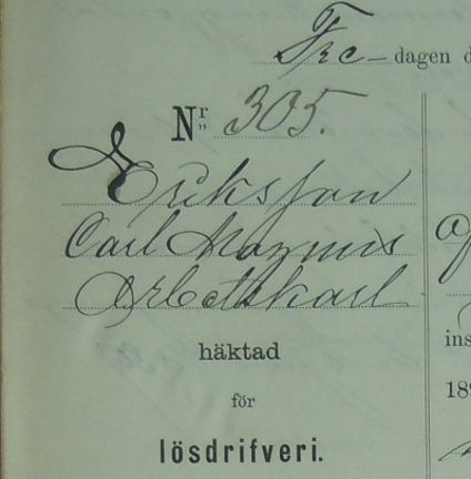 Arbetskarlen Carl Magnus Eriksson, 73, häktad för lösdriveri 19 juni 1891 - polisförhör.