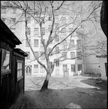 Åsögatan 180. Gården