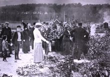 Dalens koloniområde 1917