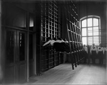 Gymnastiksal med gymnastikuppvisning