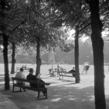 Folkliv i Kungsträdgården