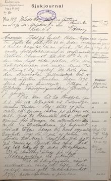 Josefina Gustava tas in på Katarina sinnessjukhus efter försök att uppvakta kungen – sjukjournal 1903