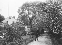 Djursborgs trädgård
