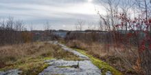 Fornborgsberget - ca 1500 år gammalt boplatsområde