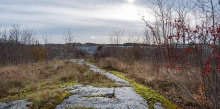 Berg i förgrunden, utsikt i fonden