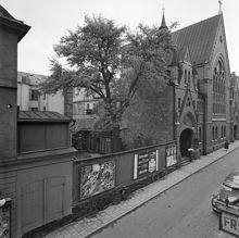 Majorsgatan med päronträdet och Trefaldighetskyrkan