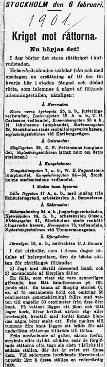 ”Kriget mot råttorna! Nu börjas det!”