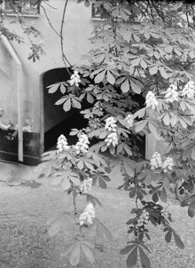Lantbruksakademiens gård. Mäster Samuelsgatan 47