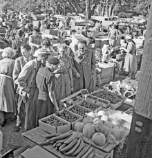 Grönsaksförsäljning på Klaratorget  år 1951