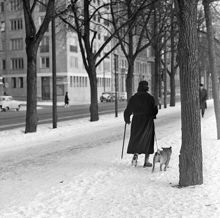 Strandvägspromenad