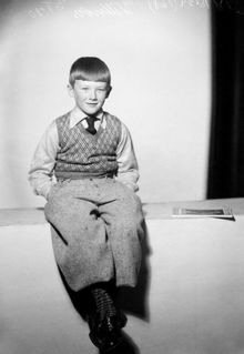 Porträtt av pojke, Willners