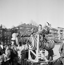 Student iklädd en Zebra vid Kungsholms läroverk. (Högre allmänna läroverket å Kungsholmen)