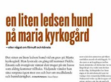 En liten ledsen hund på Maria kyrkogård - eller något om förnuft och känsla / artikelförfattare: Hans Öjmyr